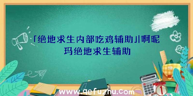 「绝地求生内部吃鸡辅助」|啊昵玛绝地求生辅助